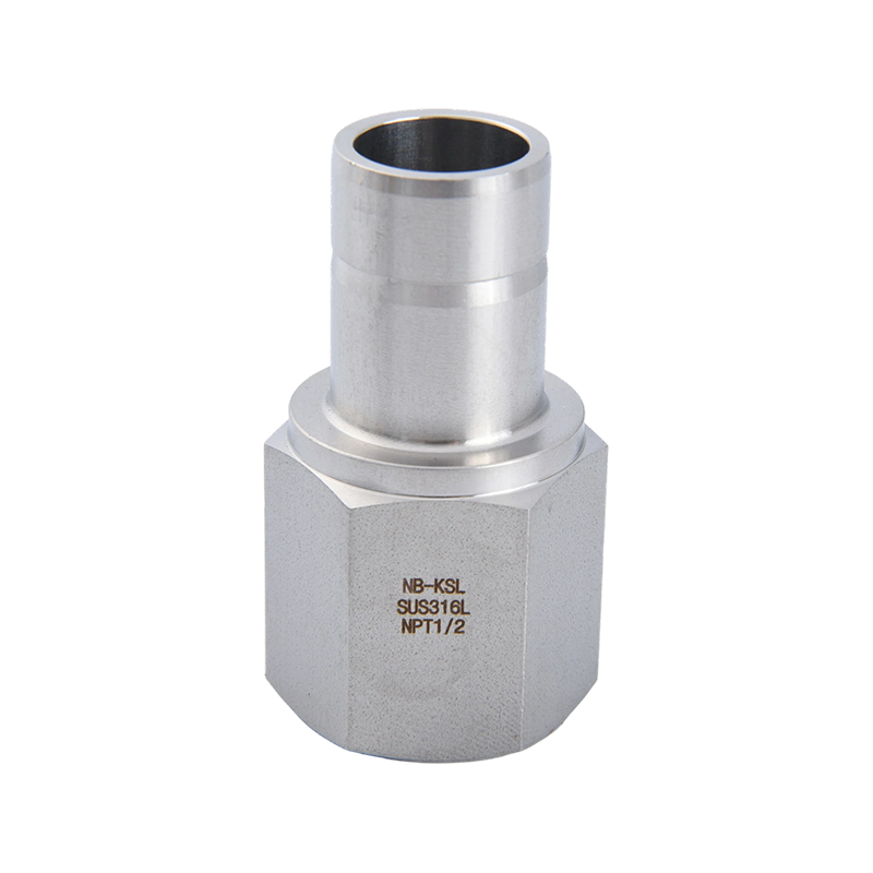 316L Stainless Steel Pipe to Pipe Internal Thread Adapter 316L Stainless Steel Pipe to Pipe Internal Thread Adapter
